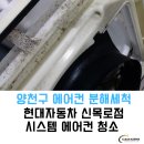신목로점현대자동차 이미지