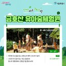 매봉산 유아숲체험원 이미지