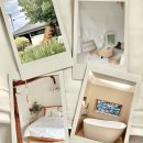 막다른 둥지 이미지