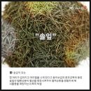 화산영농조합법인 이미지