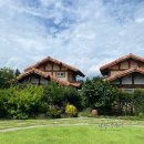 동화나라 애견 이미지