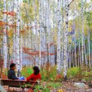 하얀도화지 이미지