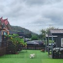 헬퍼독 애견펜션 | 경주애견펜션 앞마당 있는 가성비 좋은 헬퍼독애견펜션