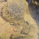 남산평기리 이미지