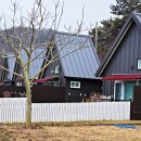 더 레이크 서지 이미지