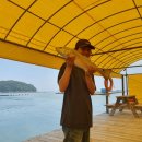 서진낚시 이미지