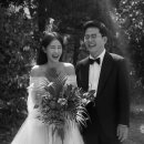 강남잉꼬결혼 이미지