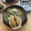 금산반계탕 | 일산 마두역맛집 진삼계탕 방문기 전복삼계탕과 전복삼계죽으로 몸보신 제대로 했어요 💪