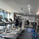 아나토미 스트랭스 이미지