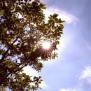40℃ 육박하는 폭염에 온열질환자 급증...예방법은? [뉴스나우] 이미지