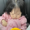 겨리농장 이미지