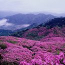 남미륵사 이미지