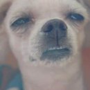 성사진관 이미지