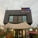 나라애견 송탄점 | 송탄카페 : 애견동반 가능한 장안동 최금 미술관 해인카페 다녀왔어요 (with.애찌,원두)