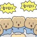 소우코우 이소비텍신 효능비교 후기