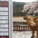 광양읍 서천체육공원 이미지