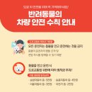 또하나의 가족 이미지