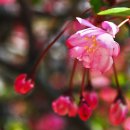 새동안길 이미지