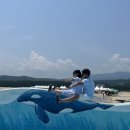 고래불이벤트 이미지