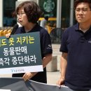 이마트 대전터미널점 몰리스 이미지