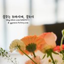 풀빌라아마레 이미지