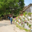 기도원 맞은편 이미지