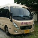 스카이디브디영화관 Daum카페