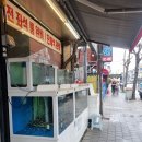 대게먹방 | [진주 하대동 맛집] 외할머니·엄마와 동주수산 대게 먹방 후기