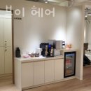 머스트브이 이미지