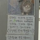 루우루우 이미지