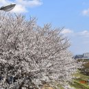 금호강10 이미지