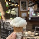 가나호스텔 | 치앙마이 가성비 숙소 추천 여자혼자 블루밍호스텔