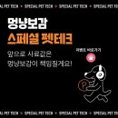 멍냥펫