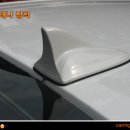카미고 이미지