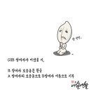 내살네쌀