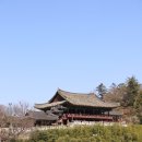 남천교~밀양교 | 밀양 영남루