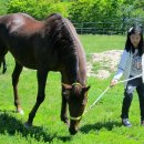 속사초등학교 이미지
