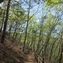 항골계곡 물레방아옆 | 4월 아이와 가볼만한 곳 강릉솔향수목원 강릉 계곡