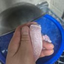 왕돼지 김치찌개 이미지