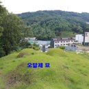 오달제묘 및 대낭장비 이미지