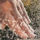 그때그시절 숨겨진 정원 이미지