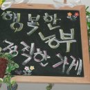 해남에다녀왔습니다