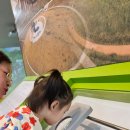 망경어린이집 이미지