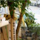 해피트리 이미지