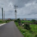 애월환승정류장 이미지