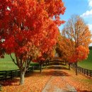 한때-아름다운 시간 이미지