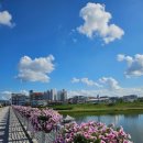 영천강로 119번길 이미지