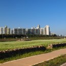 아름다운 한강 (Han River) 이미지