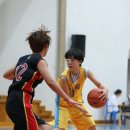 선일초교 이미지