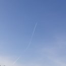 순이네농장 이미지